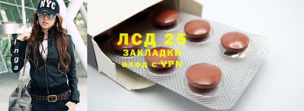 индика Белокуриха