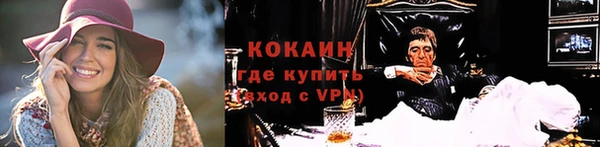 индика Белокуриха