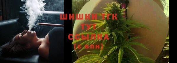 индика Белокуриха