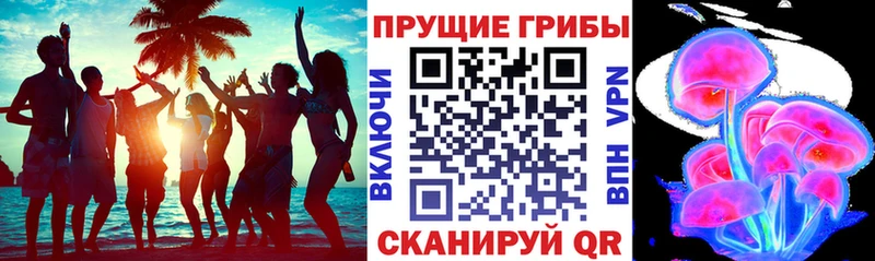 Псилоцибиновые грибы Psilocybe  Куйбышев 